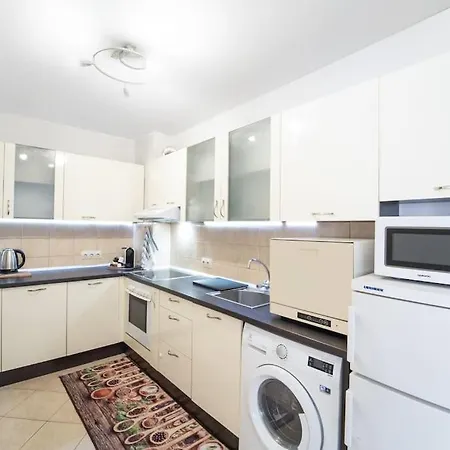 Center 1-bedroom Flat Next To Mall Of Apartment
