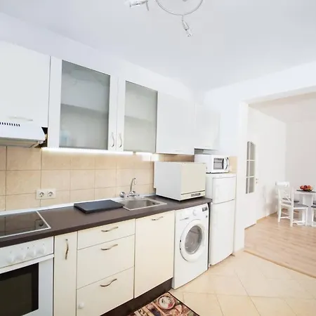 Center 1-bedroom Flat Next To Mall Of Apartment